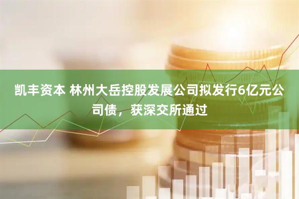 凯丰资本 林州大岳控股发展公司拟发行6亿元公司债，获深交所通过